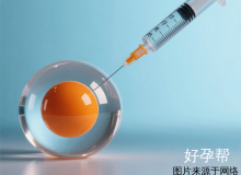 北京不用结婚证做试管婴儿医院排行榜前十及费用解析